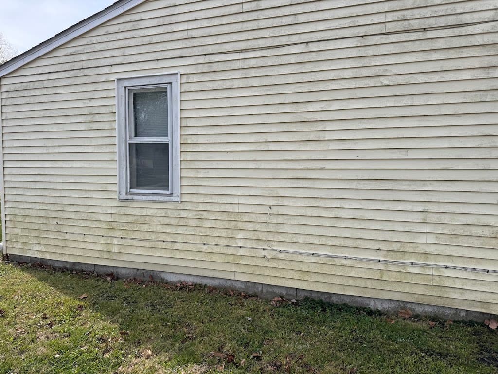 Pale siding with visible mold and mildew staining before a soft wash